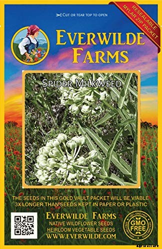 Give Them the Royal Treatment: 15 of the Best Types of Milkweed for Monarch Butterflies