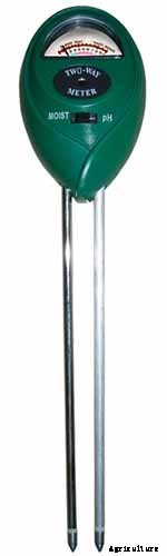 Bok Choy Spacing: How Far Apart to Plant Your Crop