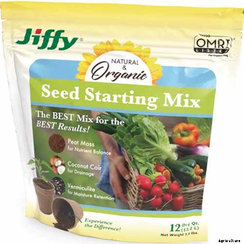 How to Grow and Care for Romanesco Broccoli