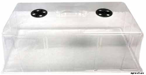 How to Grow and Care for Romanesco Broccoli