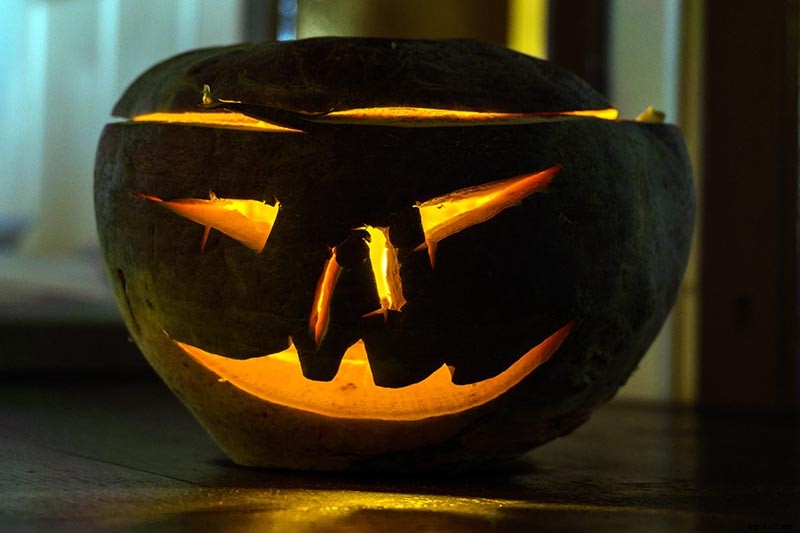 How to Grow Tasty Turnip Greens at Home