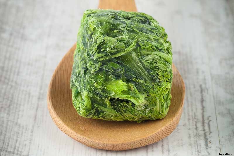 How to Grow Tasty Turnip Greens at Home