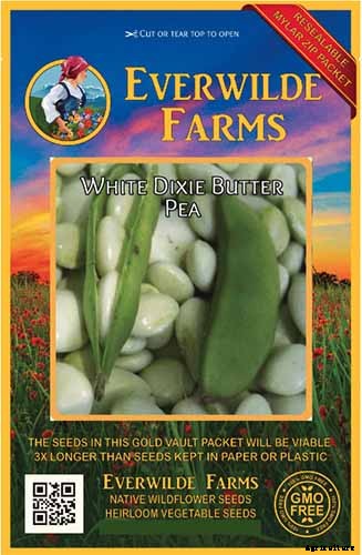 How to Grow Lima and Butter Beans in the Garden