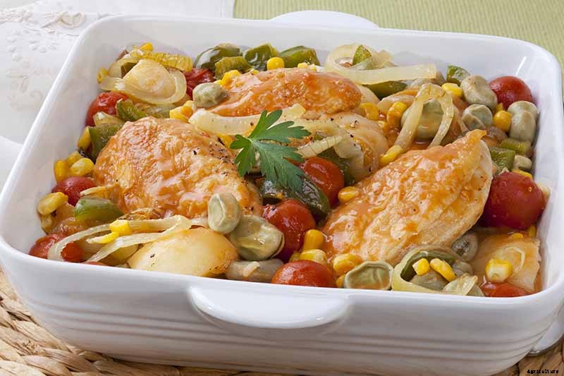 How to Grow Lima and Butter Beans in the Garden