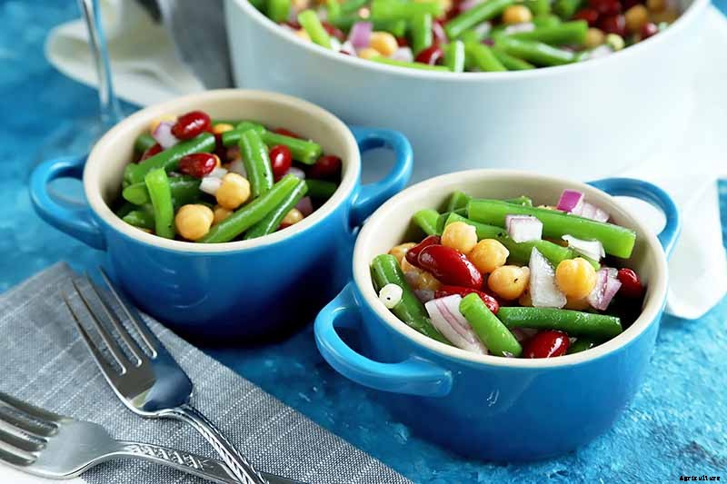 How to Grow Lima and Butter Beans in the Garden