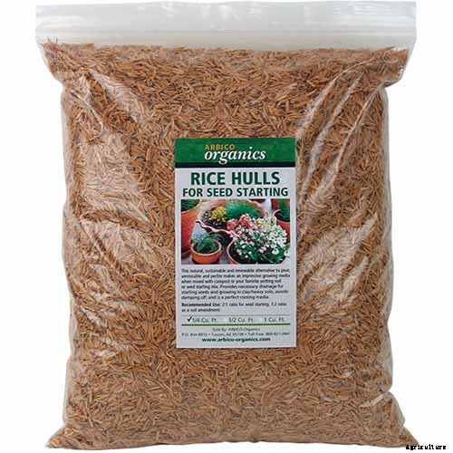 How to Grow Hostas in Containers