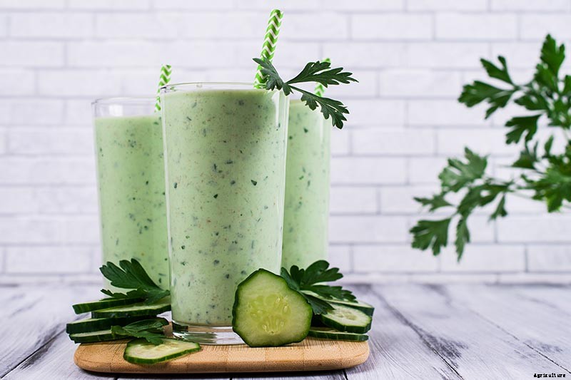 How to Store Homegrown Cucumbers for Maximum Freshness and Long-Term Use