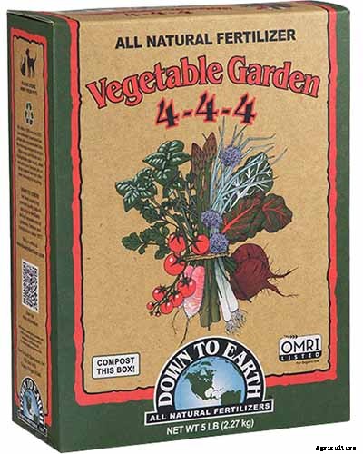 How to Grow Sugar Beets for Food and Fodder