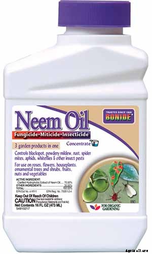 How to Recognize and Manage 9 Common Cauliflower Pests