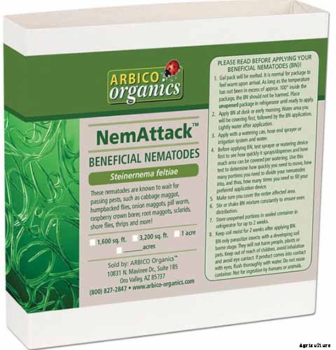 How to Recognize and Manage 9 Common Cauliflower Pests