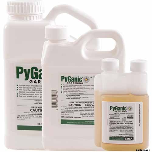 How to Recognize and Manage 9 Common Cauliflower Pests