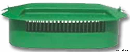 How to Recognize and Manage 9 Common Cauliflower Pests