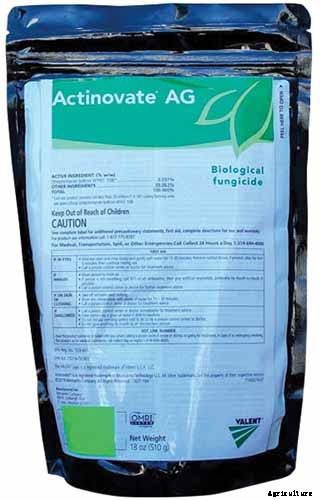 9 Reasons Why Bleeding Hearts Turn Yellow with Troubleshooting Tips