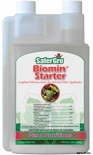 9 Reasons Why Bleeding Hearts Turn Yellow with Troubleshooting Tips