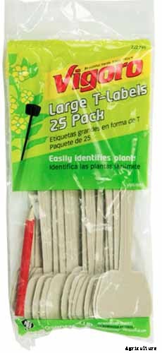 9 Reasons Why Bleeding Hearts Turn Yellow with Troubleshooting Tips