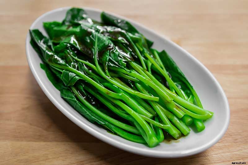 How to Grow and Use Chinese Broccoli