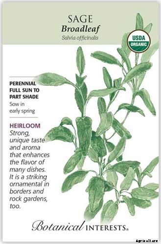 13 of the Best Cauliflower Companions