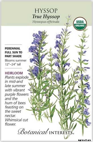 13 of the Best Cauliflower Companions