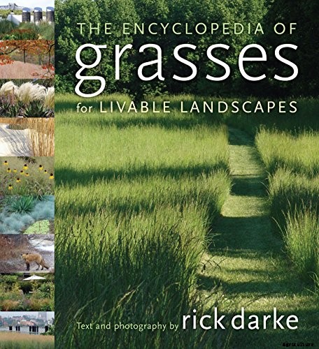 Easy Landscaping with Ornamental Grasses: Simple Tips for Carefree Success