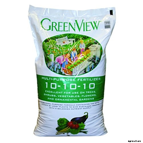 Easy Landscaping with Ornamental Grasses: Simple Tips for Carefree Success