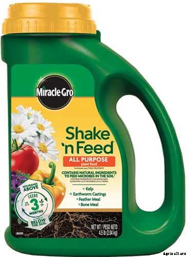 How to Grow Cauliflower, a Challenging Cool-Weather Crop