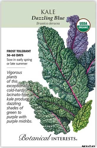 13 of the Best Kale Varieties for the Home Garden