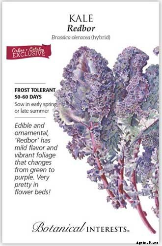 13 of the Best Kale Varieties for the Home Garden