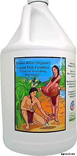 How to Plant and Grow Broccoli