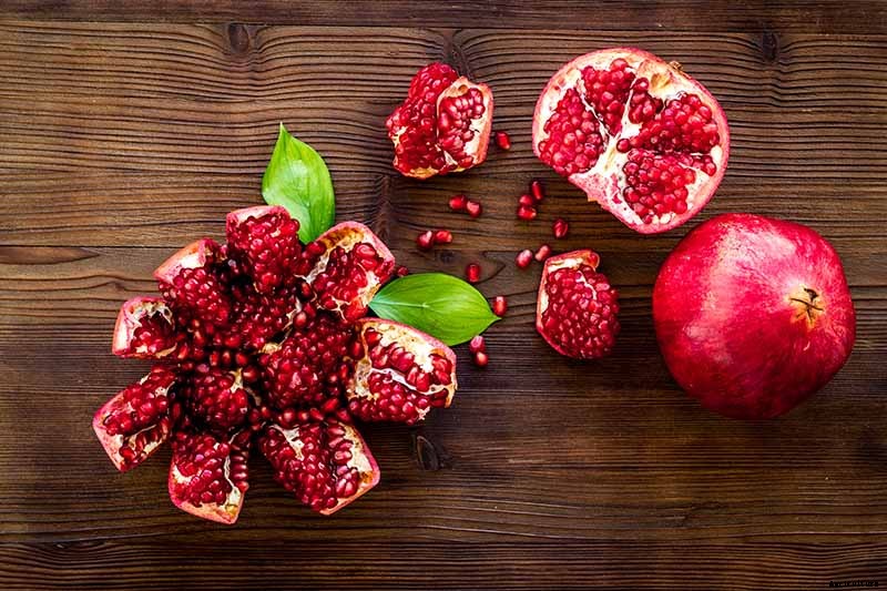 How Far Apart Should I Space Fruit Trees?