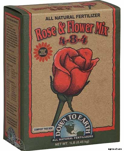 How to Grow Colorful, Fragrant Honeysuckle