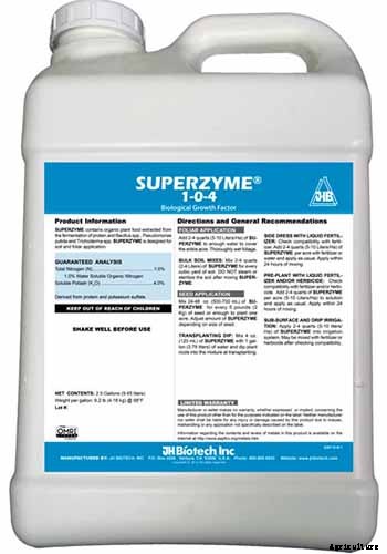 How to Grow Hostas: A Favorite Shade Loving Perennial