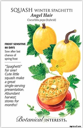 11 of the Best Winter Squash Varieties