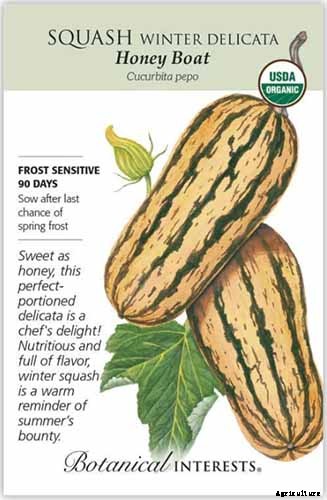 11 of the Best Winter Squash Varieties