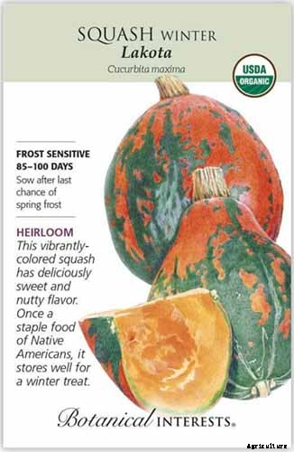 11 of the Best Winter Squash Varieties