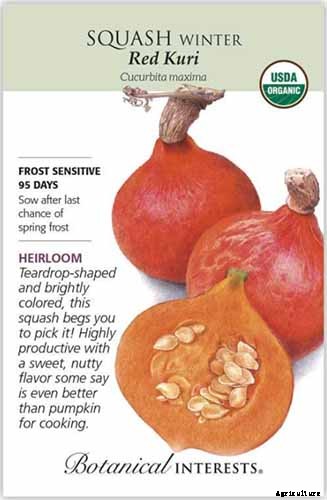 11 of the Best Winter Squash Varieties