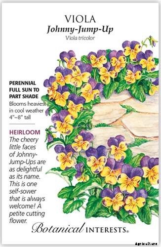 How to Grow and Care for Johnny-Jump-Ups