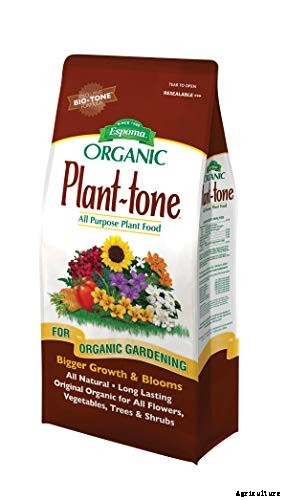 How to Grow and Care for Oakleaf Hydrangea