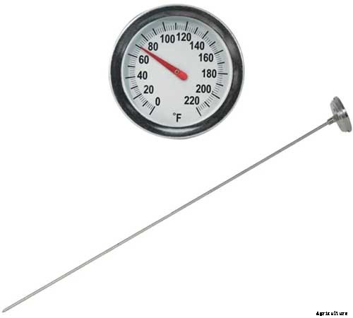 How to Grow Dent Corn in Your Backyard