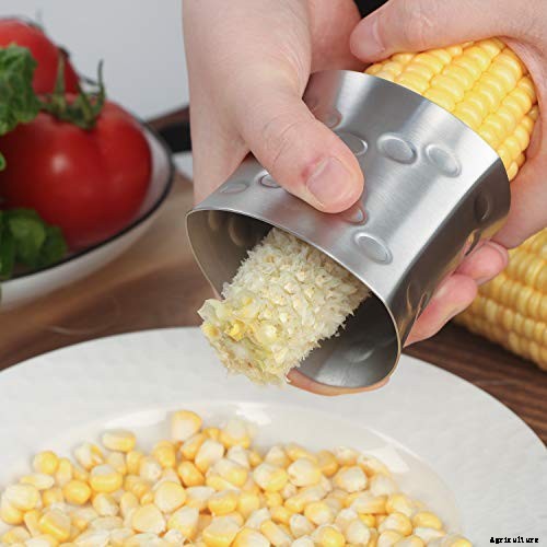 How to Grow Dent Corn in Your Backyard