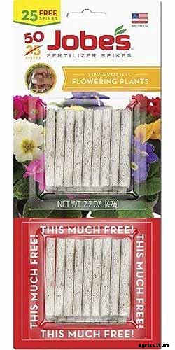 How to Grow Camellias in Containers