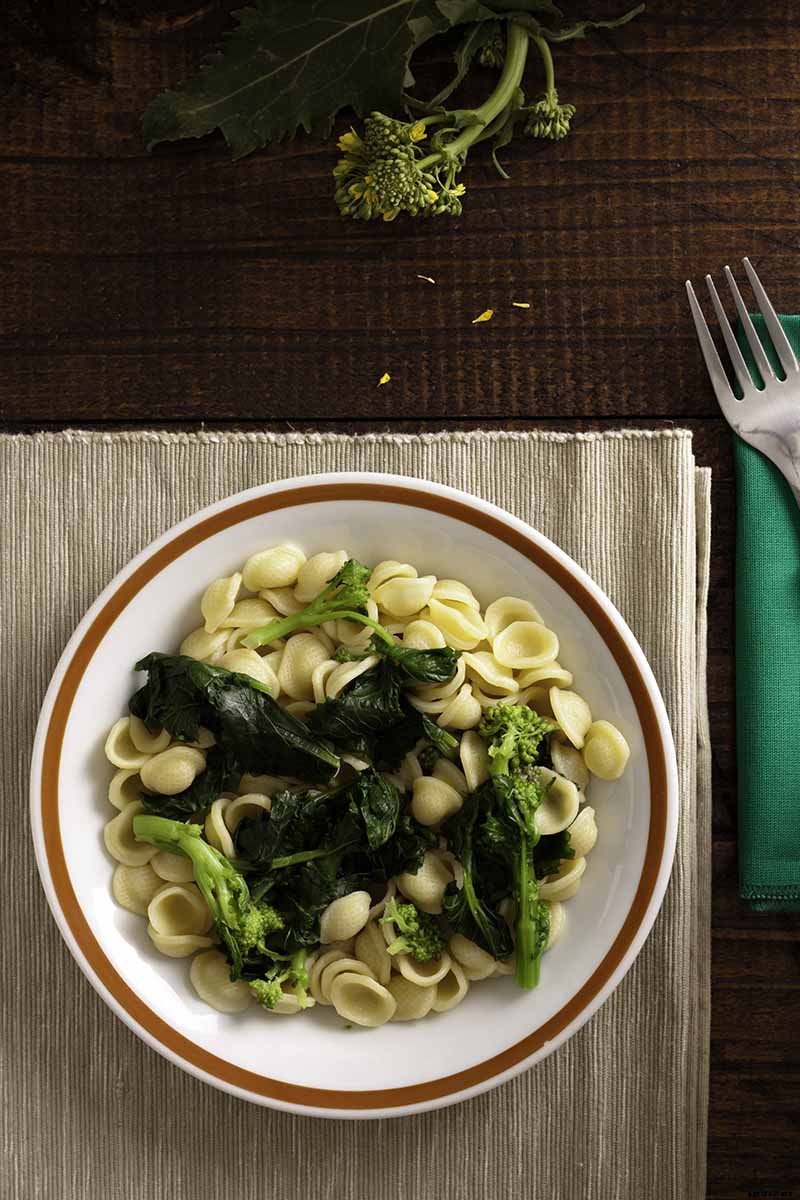 How to Grow Broccoli Rabe