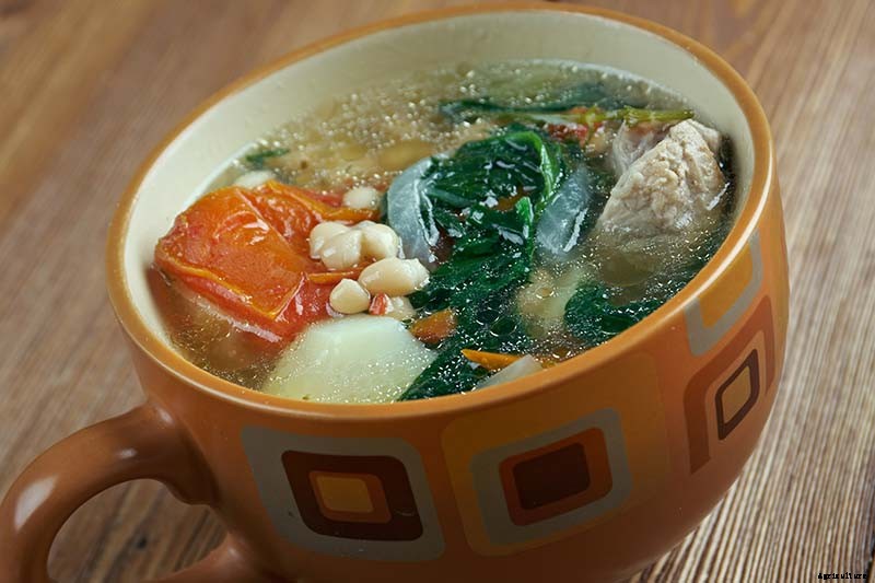 How to Grow Broccoli Rabe