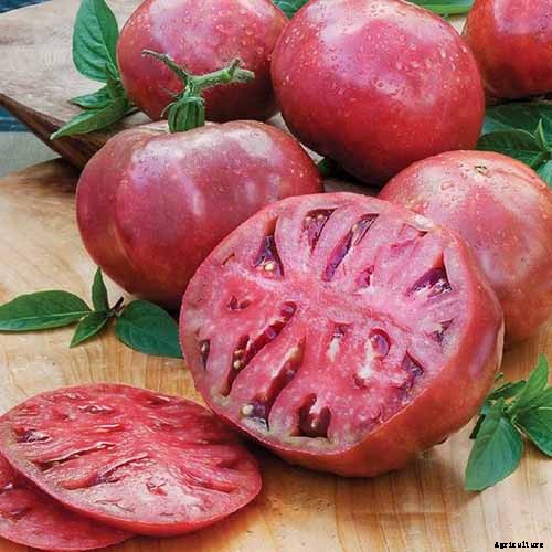 Grow Your Own ‘Cherokee Purple’ Tomatoes