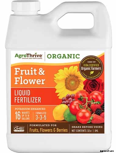 How to Grow and Use Hyssop