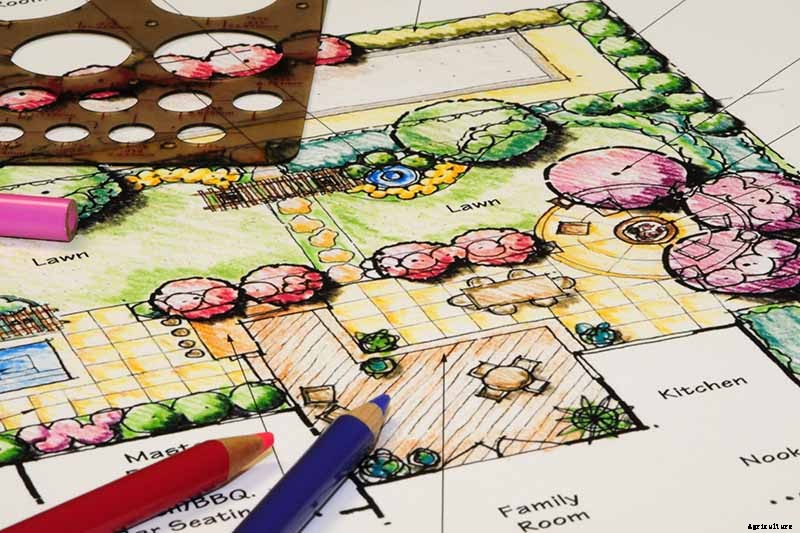 How to Plan a Rose Garden