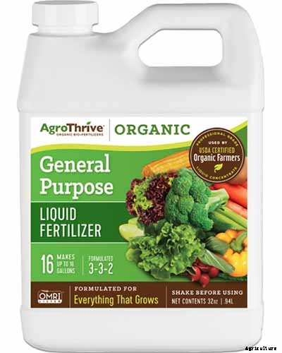 How to Grow Morning Glory Vines in Containers