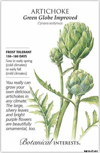 9 of the Best Artichoke Cultivars to Grow at Home