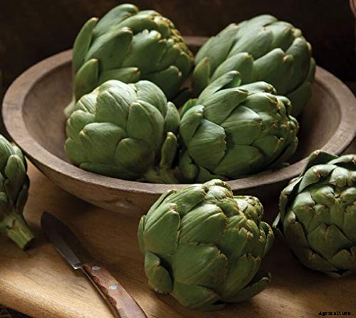 9 of the Best Artichoke Cultivars to Grow at Home