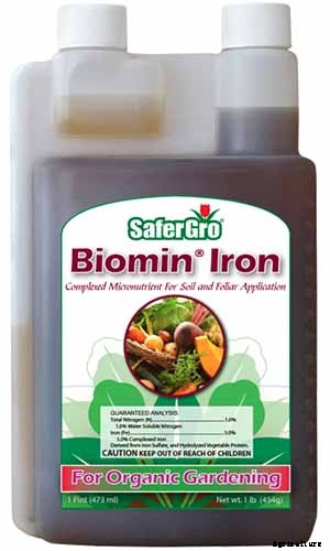 Why Are My Rose Leaves Turning Yellow?