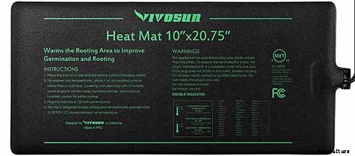 How to Plant and Grow Artichokes